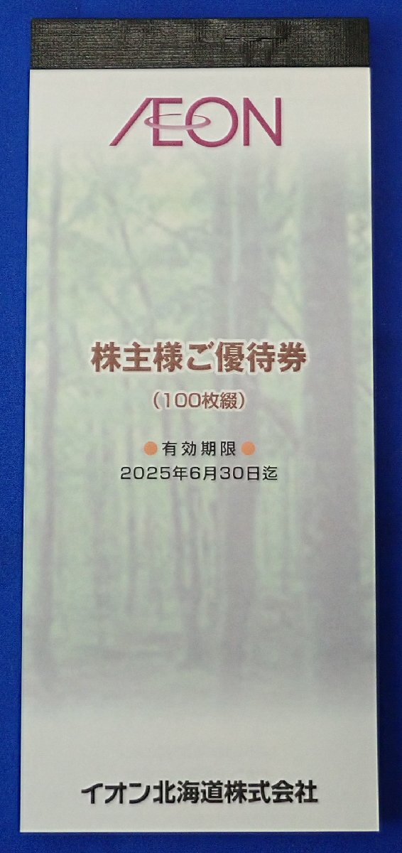 ◎イオン北海道 株主様ご優待券 100枚綴 1冊 100円×100枚 10000円分 有効期限2025年6月30日 送料無料の画像2