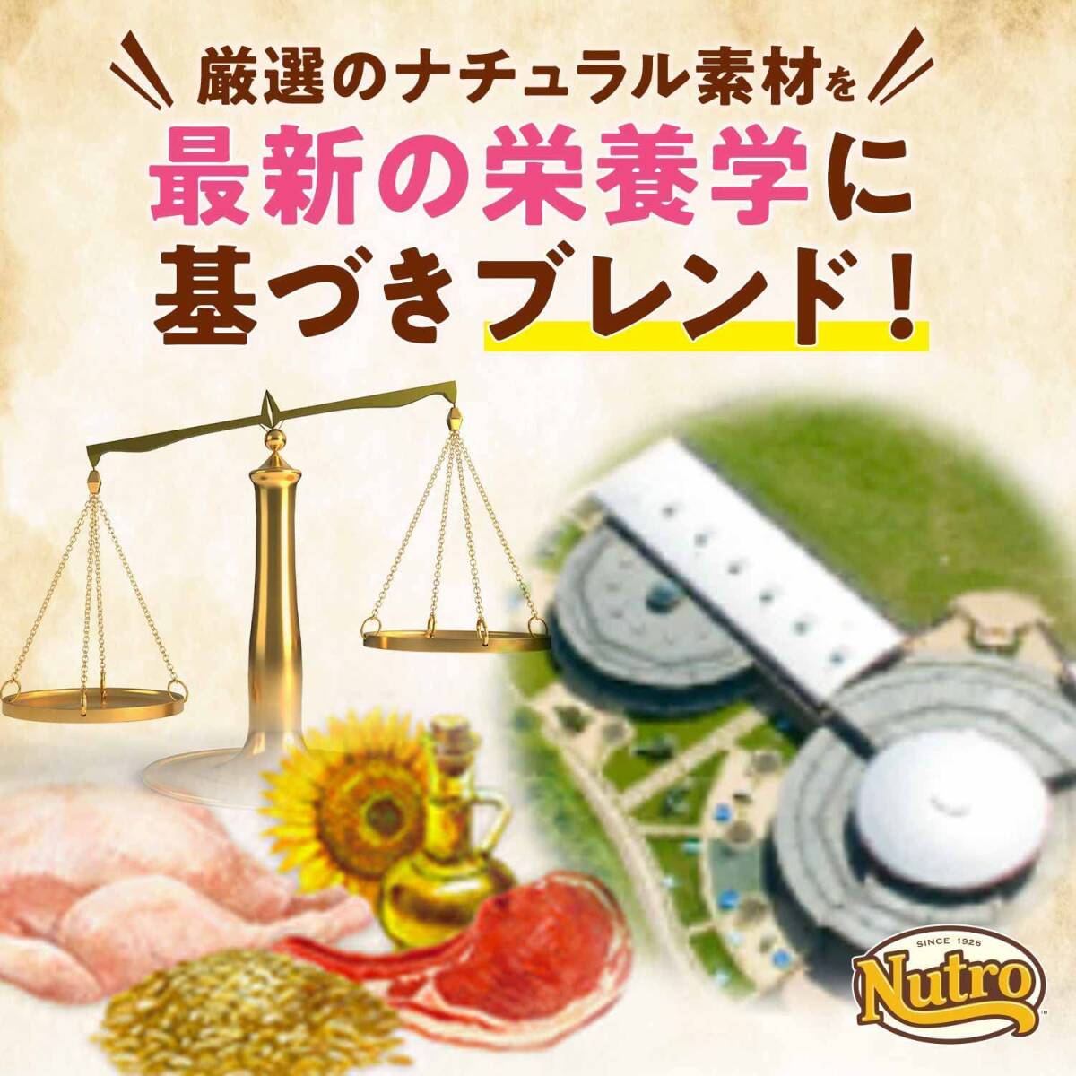 Nutro ニュートロ ナチュラル チョイス キャット 食にこだわる猫用 アダルト チキン 2kg キャットフード【香料・着色料 の画像5