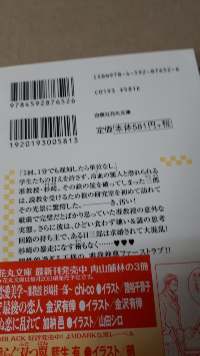 ☆王様の恋愛美学～准教授　杉崎桂一郎～☆　　　　ｃｈｉ-ｃｏ／陸裕千景子　　　　　花丸文庫_画像2