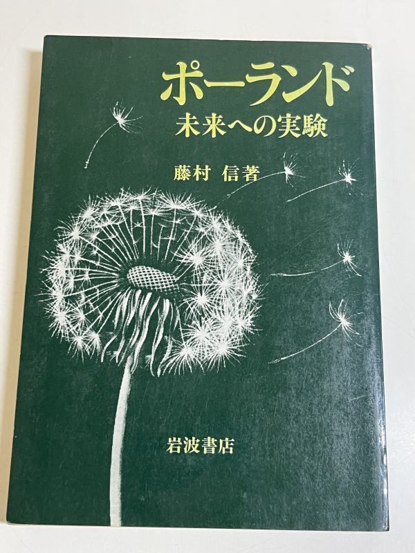 299-C14/ポーランド 未来への実験/藤村信/岩波書店/1982年_画像1