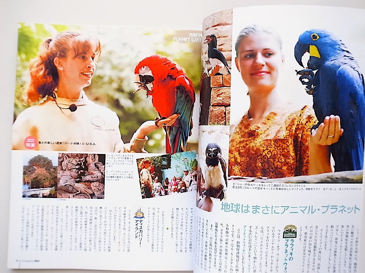 Companion Bird No.4 (2005年)―鳥たちと楽しく快適に暮らすための情報誌　誠文堂新光社_画像2