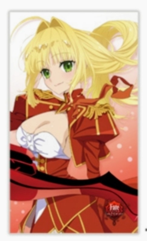 ヤフオク 送料無料 新品 未開封 Fate Extra Last Encore