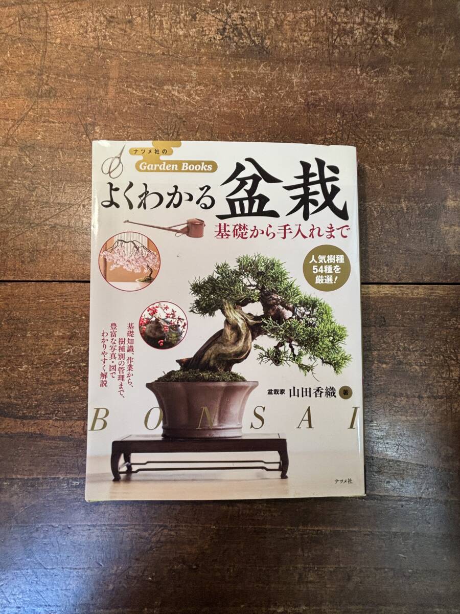  хорошо понимать бонсай основа из починка до ( зизифус фирменный Garden Books) гора рисовое поле . тканый | работа 