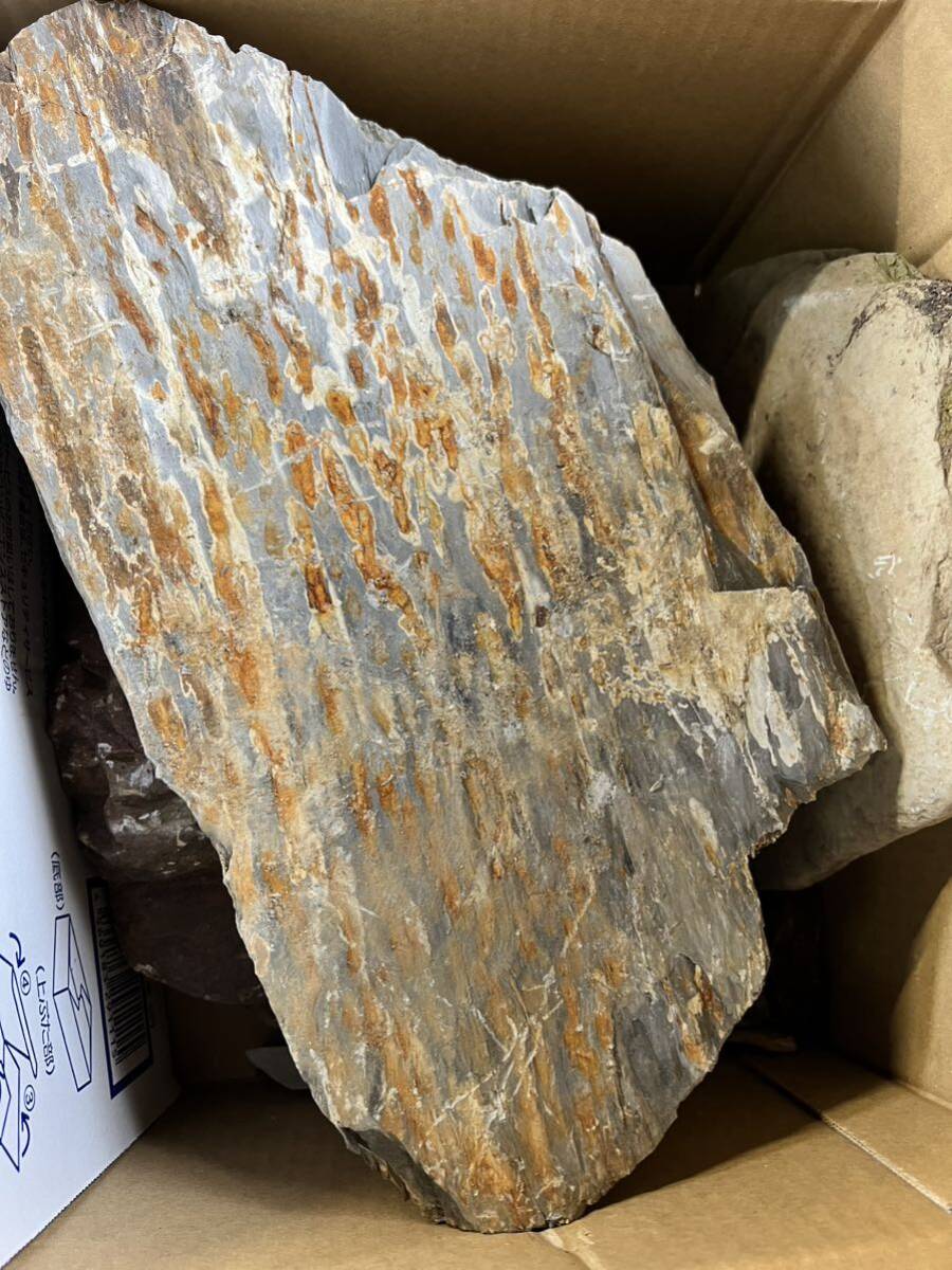 天然砥石相岩谷原石ガラ80サイズ約19kg 12の画像2