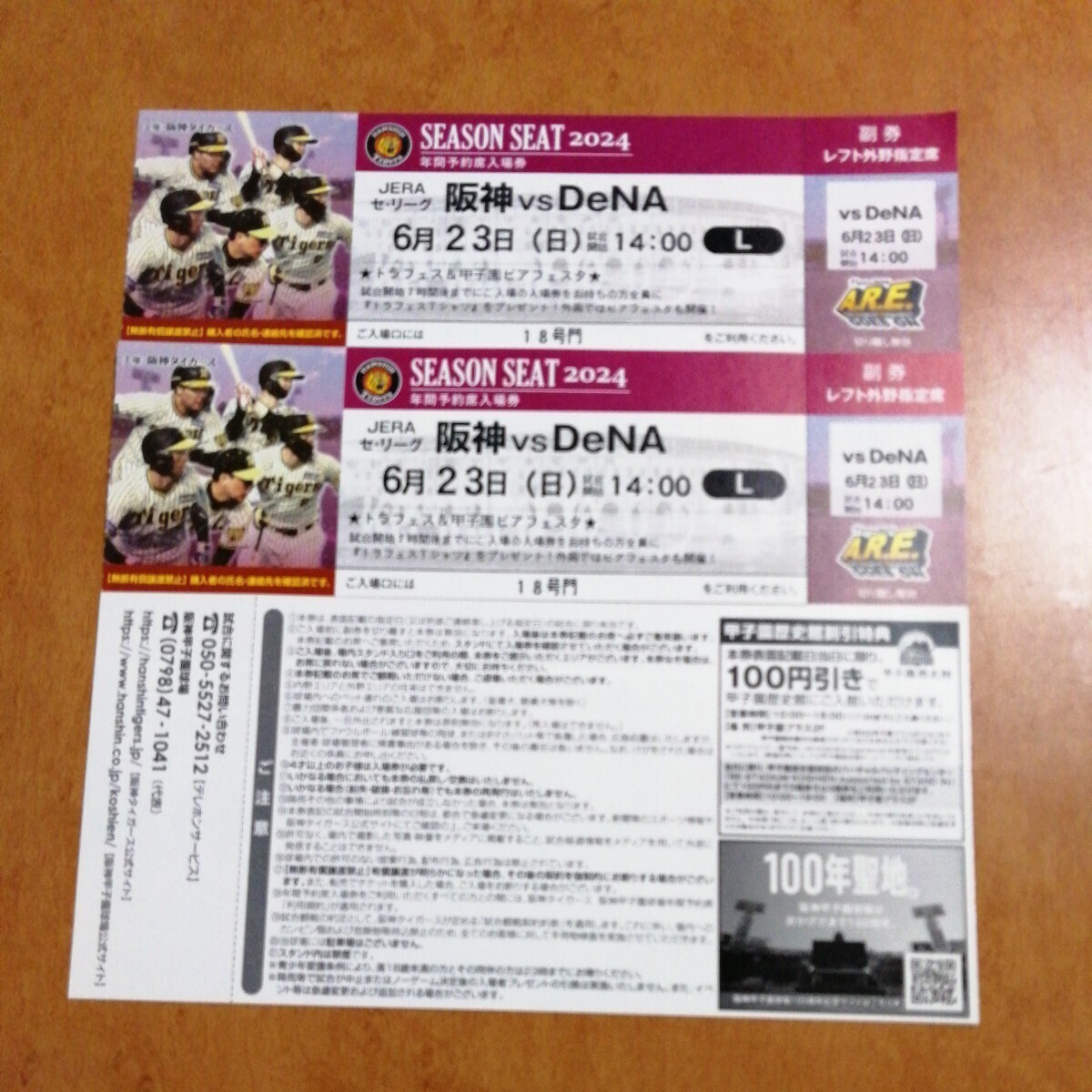 6月23日（日） 阪神甲子園球場 阪神vsDeNA レフト外野指定席 2枚 連番 トラフェス 入場者プレゼントデー_画像1