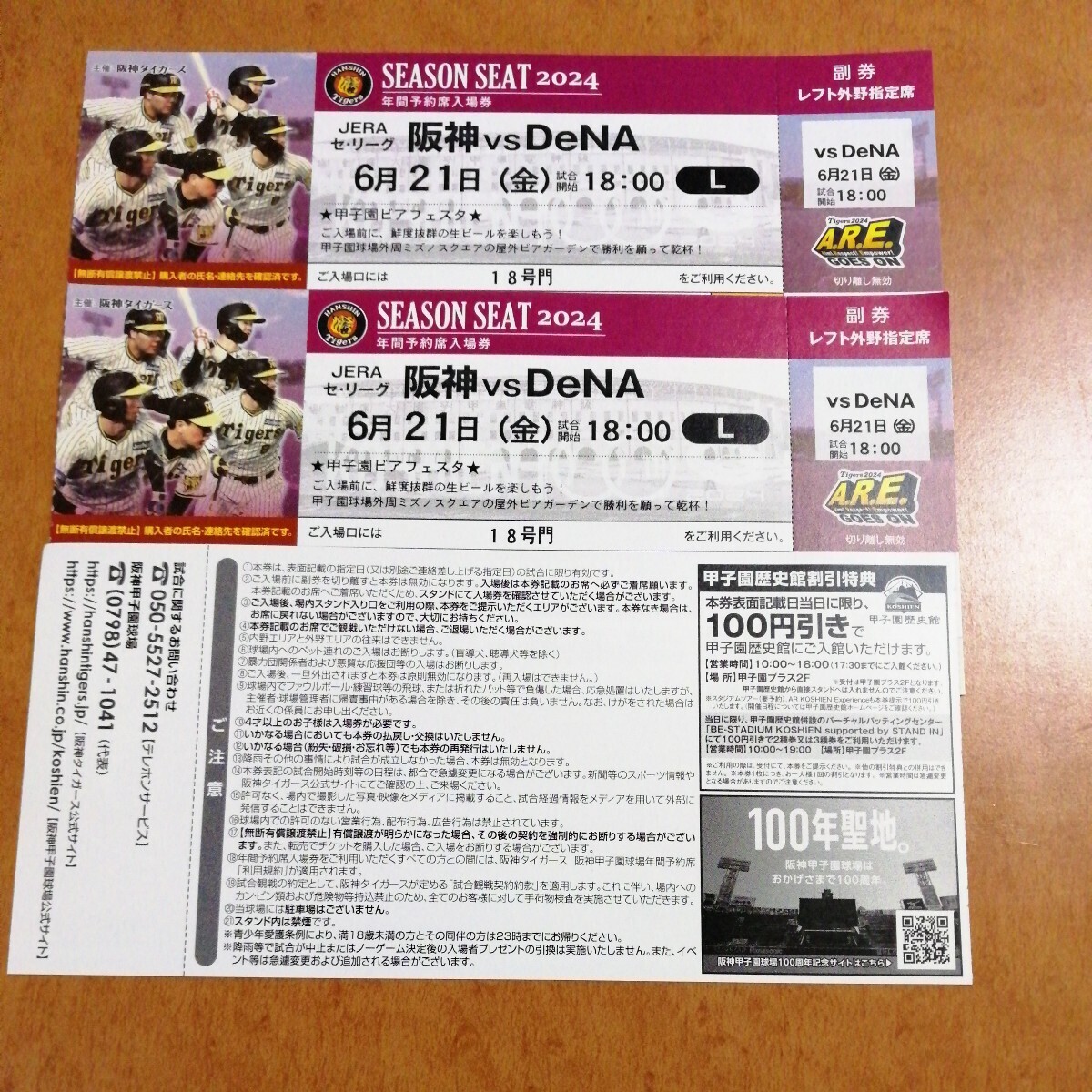 6月21日（金） 阪神甲子園球場 阪神vsDeNA レフト外野指定席 2枚 連番_画像1