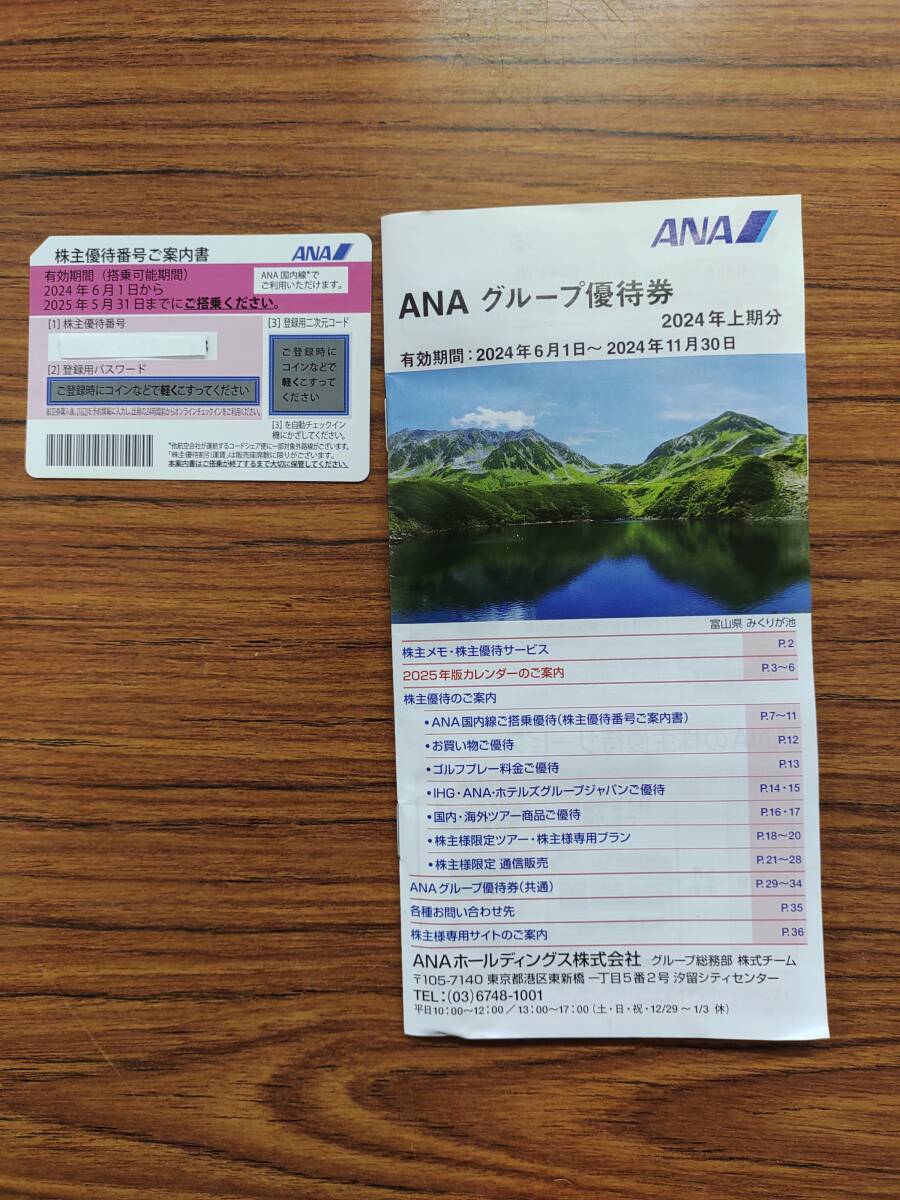 ANA 全日空　2024年3月　株主優待券　１枚_画像1