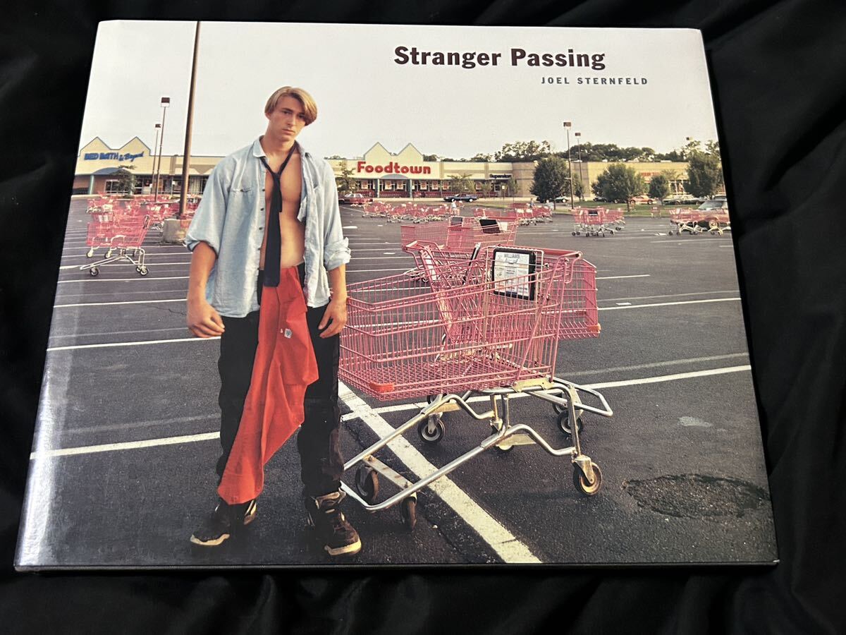 Stranger Passing / Joel Sternfeld / ジョエル・スタンフェルド_画像1