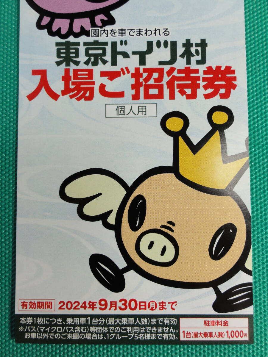 【即日・匿名発送】東京ドイツ村 入場ご招待券 1枚 有効期間2024年9月30日まで 夏休み使用可能 優待券 割引券 クーポン_画像3