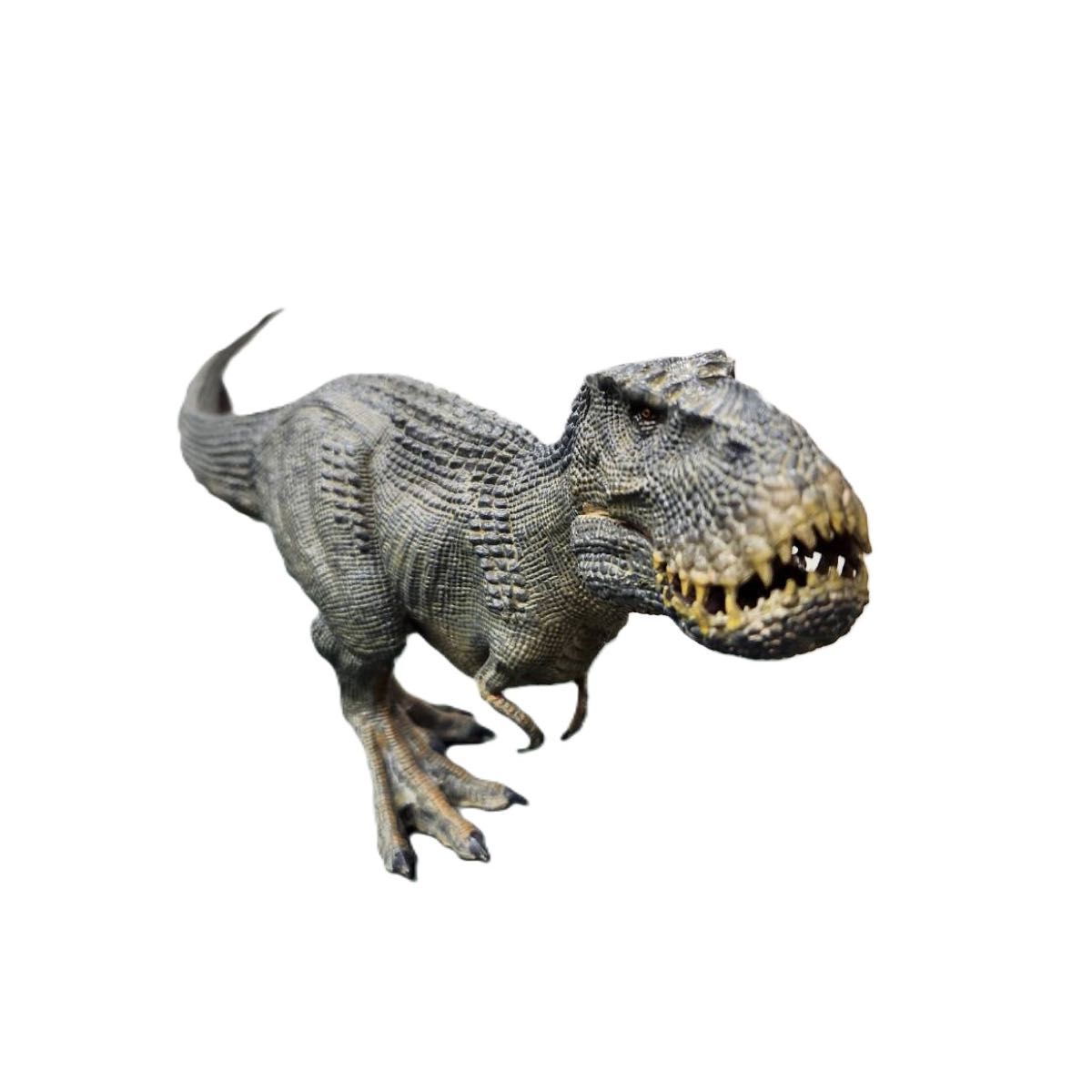 恐竜 ティラノサウルス フィギュア　コレクションや、恐竜が好きな方へのプレゼントに。