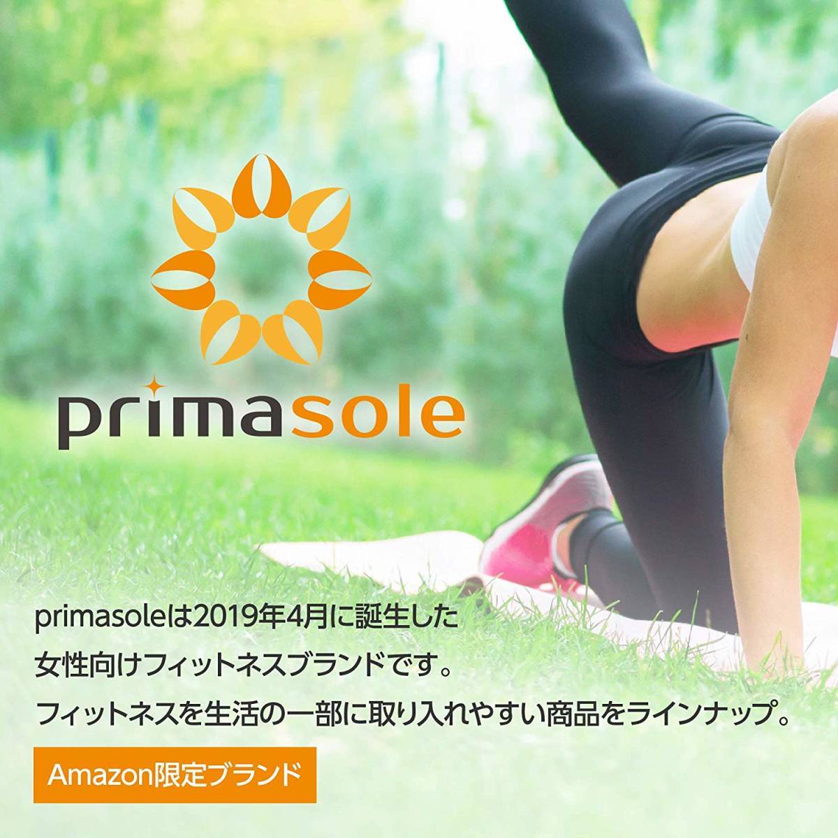 【限定ブランド】プリマソーレ(primasole) フィットネスボール 【75cm】空気入れ付き バランスボール フィットネス ピラティス