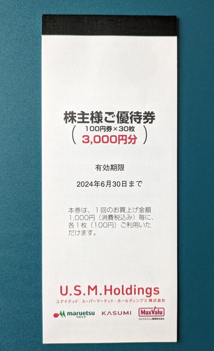 u.s.m.Holdings株主様ご優待券　有効期限　2024年6月30日まで　100円券×30枚_画像1