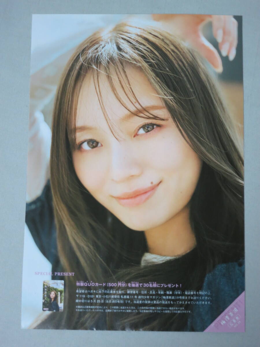 梅澤美波　乃木坂46 プレゼント応募券　週刊少年マガジン24号_画像1