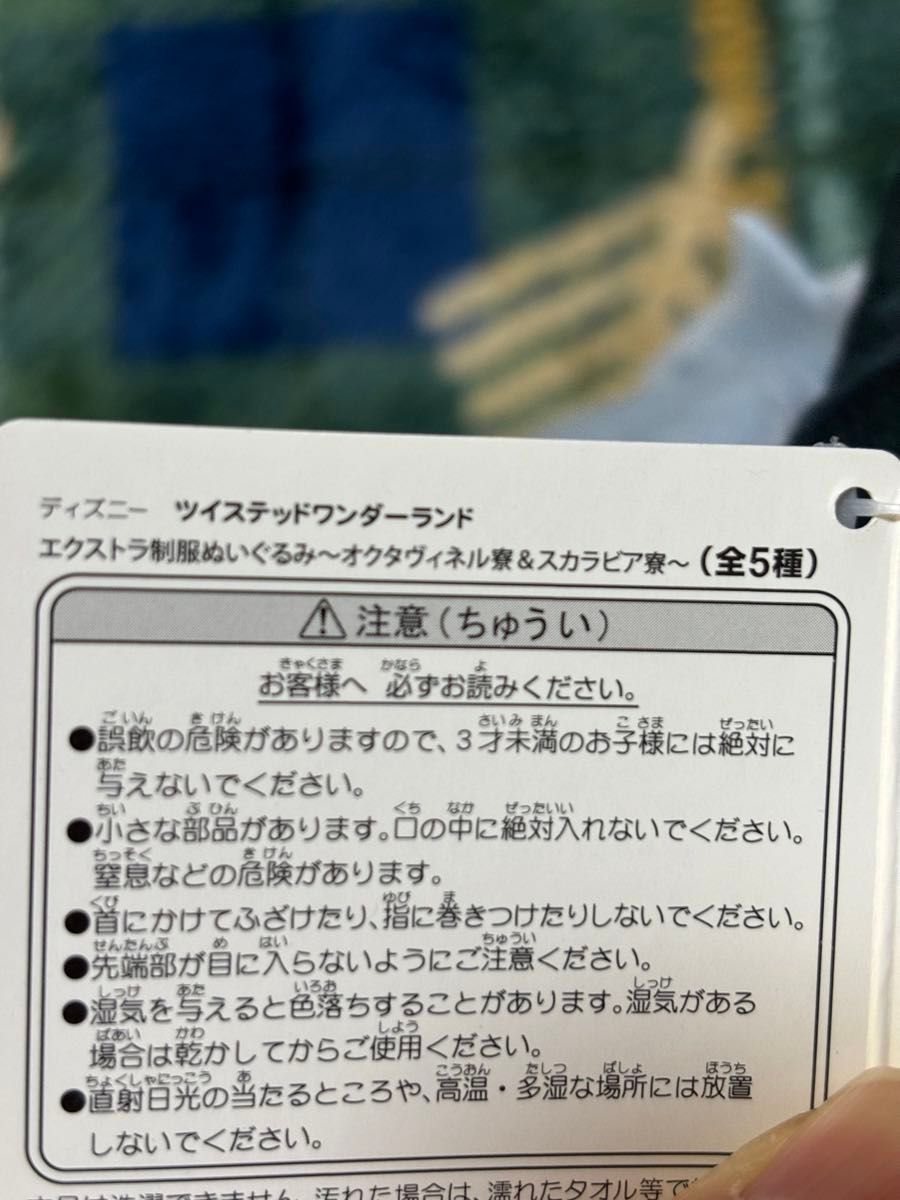 2個　ディズニー ツイステッドワンダーランドエクストラ制服ぬいぐるみ～オクタヴィネル寮＆スカラビア寮〜