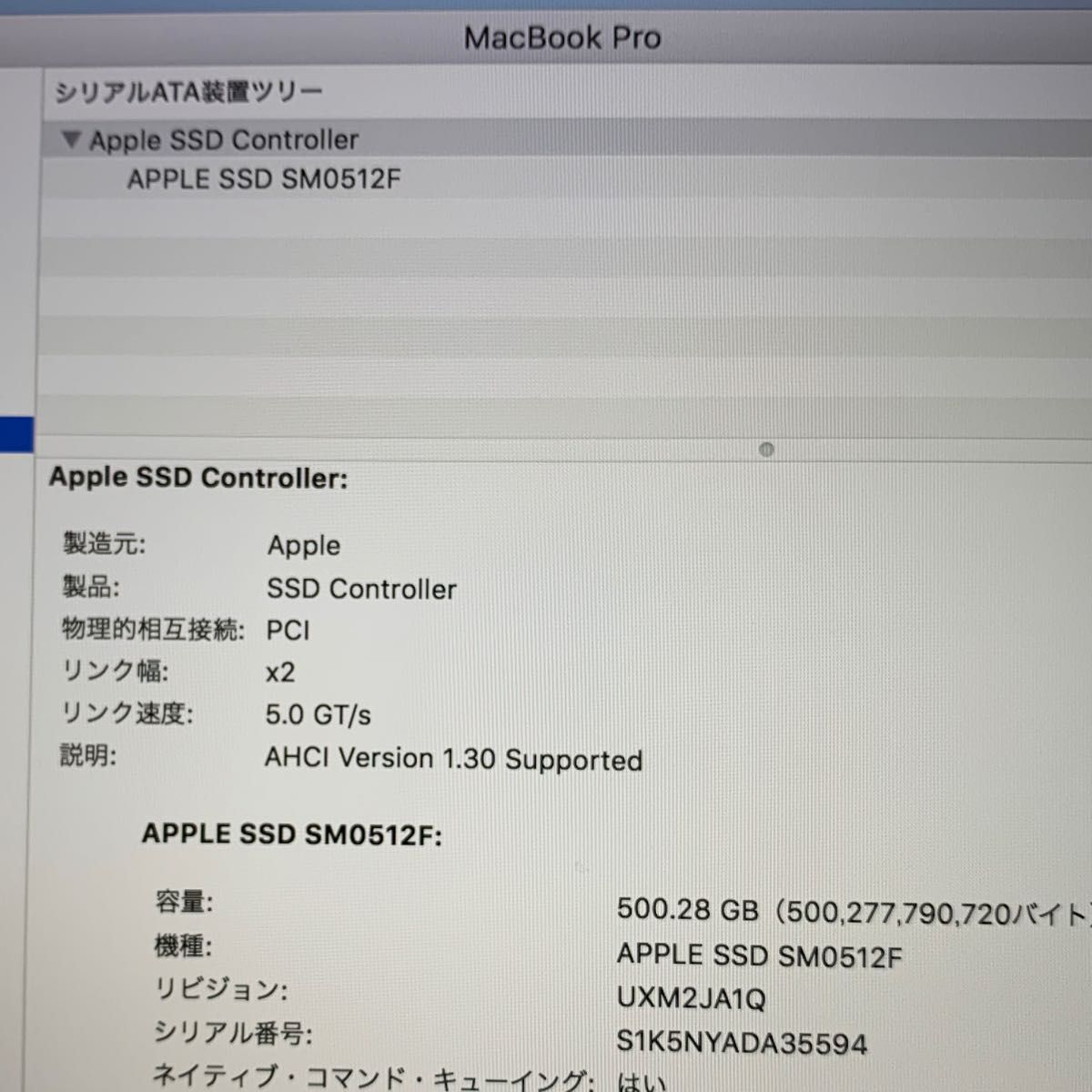 SAMSUNG APPLE SSD 512GB MZ-JPU512T/0A6 SM0512F