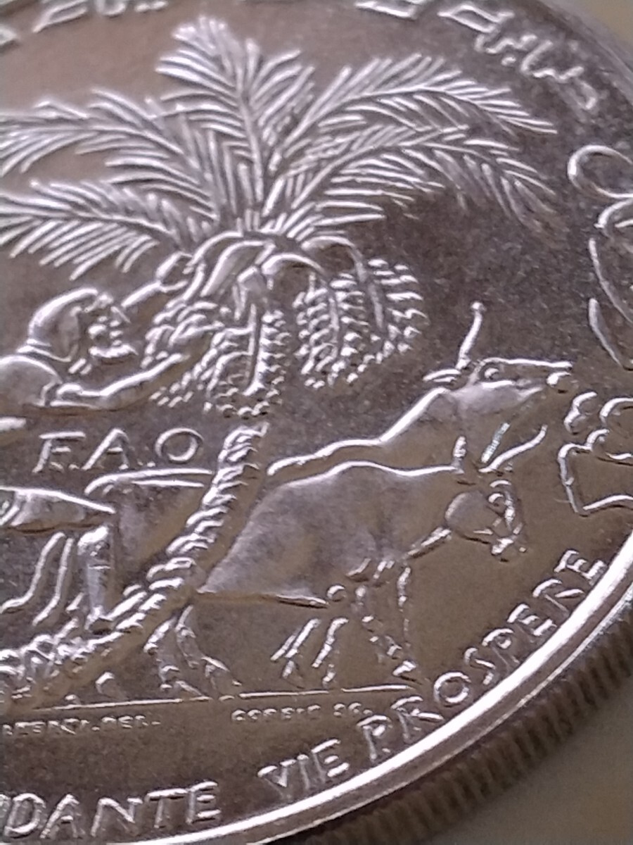 チュニジア 1970 1ディナール銀貨 F.A.O._画像7