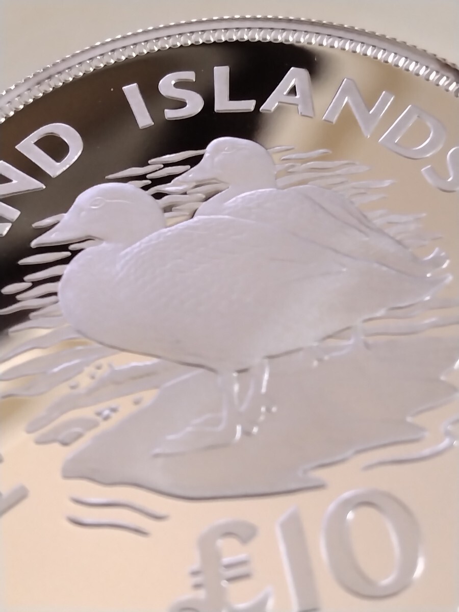 フォークランド諸島 1979 10ポンド銀貨プルーフ Conservation−Flightless steamer ducksの画像5