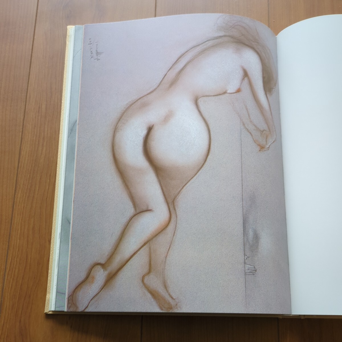 古沢岩美裸婦デッサン集 〈にょたい〉昭和55年 ノーベル書房 直筆サイン_画像8