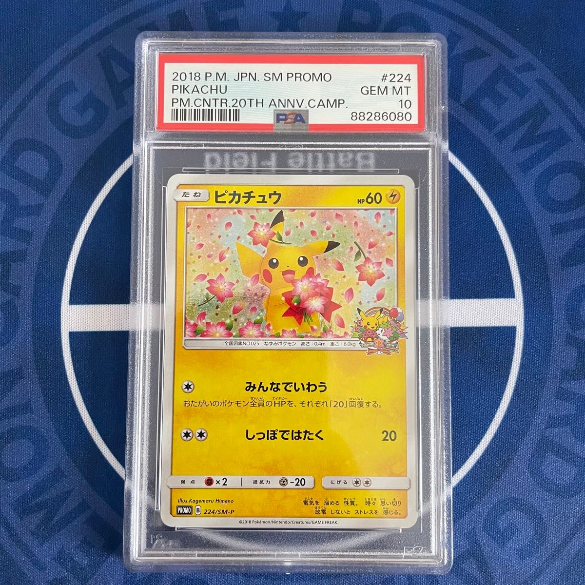 PSA10】ポケモンセンター20周年プロモ ピカチュウ 【ポケモン PSA10】ポケモンセンター20周年プロモ ピカチュウ 【ポケモン