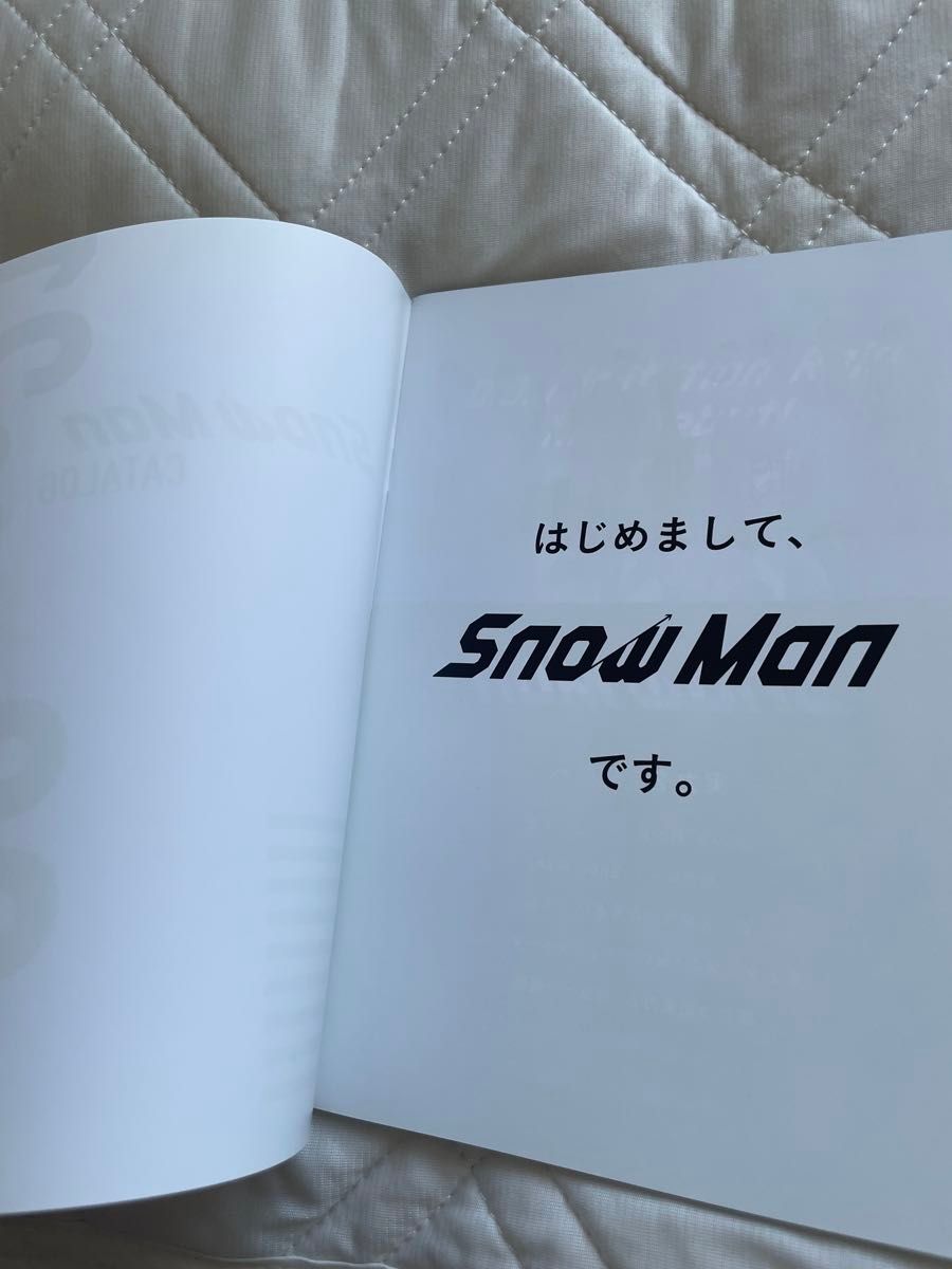 SnowMan 2020年 2D.2D. ツアー パンフレット SnowMan CATALOG 2020-2021 特典