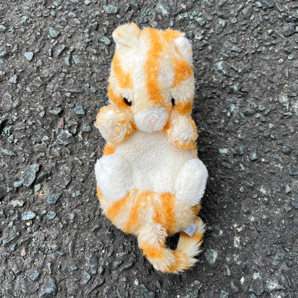 ファースト社 イタズラ天使 猫 ぬいぐるみ レトロ|Yahoo!フリマ ファースト社 イタズラ天使 猫 ぬいぐるみ レトロ|Yahoo!フリマ