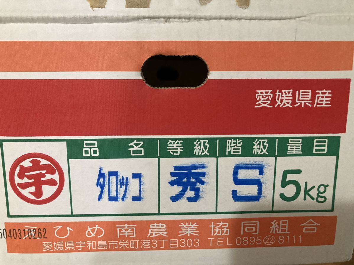 757.愛媛産ブラッドオレンジ 秀品箱込み約5kgの画像3