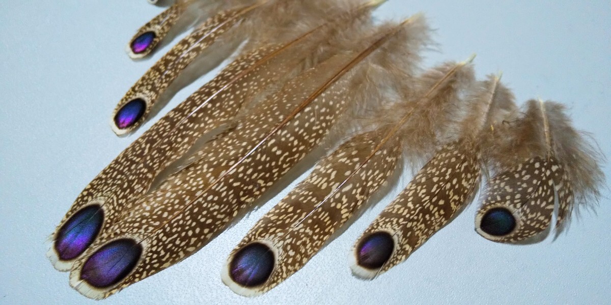 AMpi- cook fe The nto feather feather material fly hand made 
