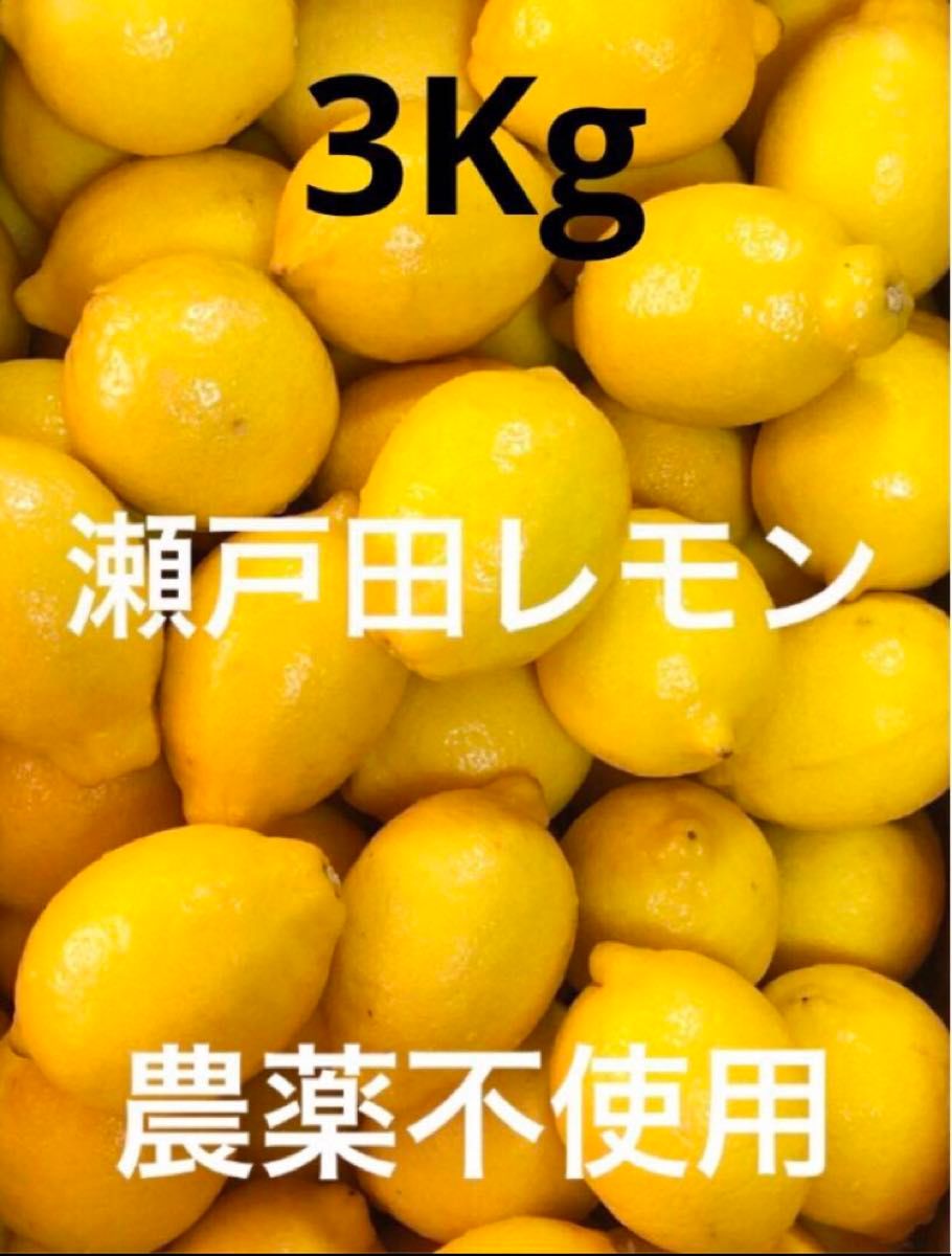 国産瀬戸田レモン3Kg
