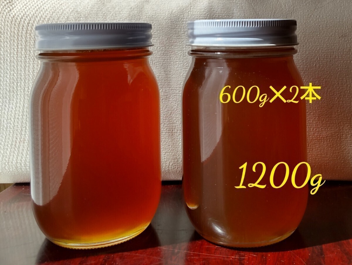 非加熱　日本ミツバチ　蜂蜜　百花蜜　　　国産　日本蜜蜂　1200g