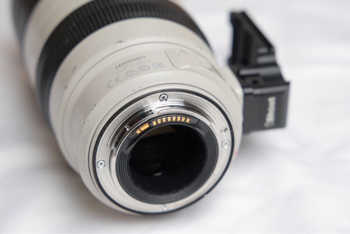 Canon キヤノン EF100-400mm F4.5-5.6L IS II USM 使用感あり