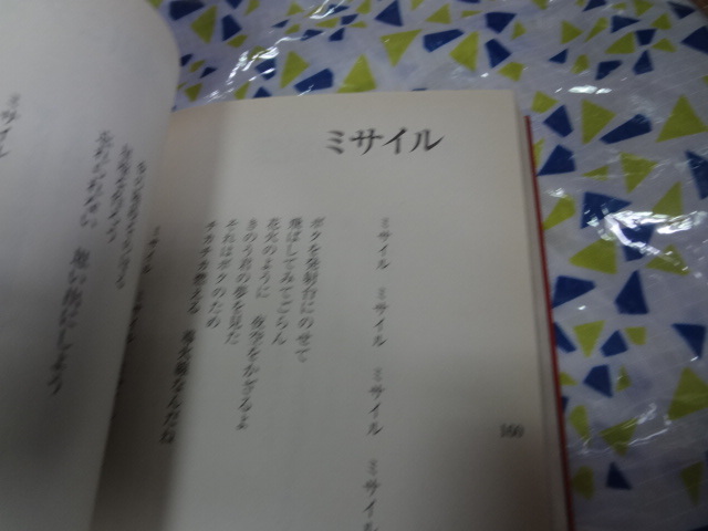 日曜日よりの使者の詩 甲本ヒロト全詞集　ハイロウズ　ブルーハーツ　クロマニヨンズ　本_画像4