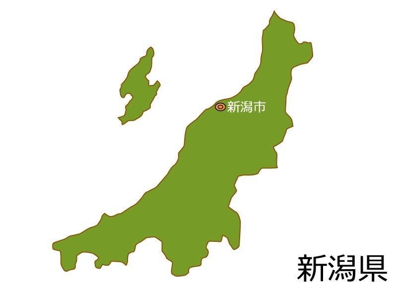 農家直送  新潟県産コシヒカリ 無洗米5キロ　訳あり