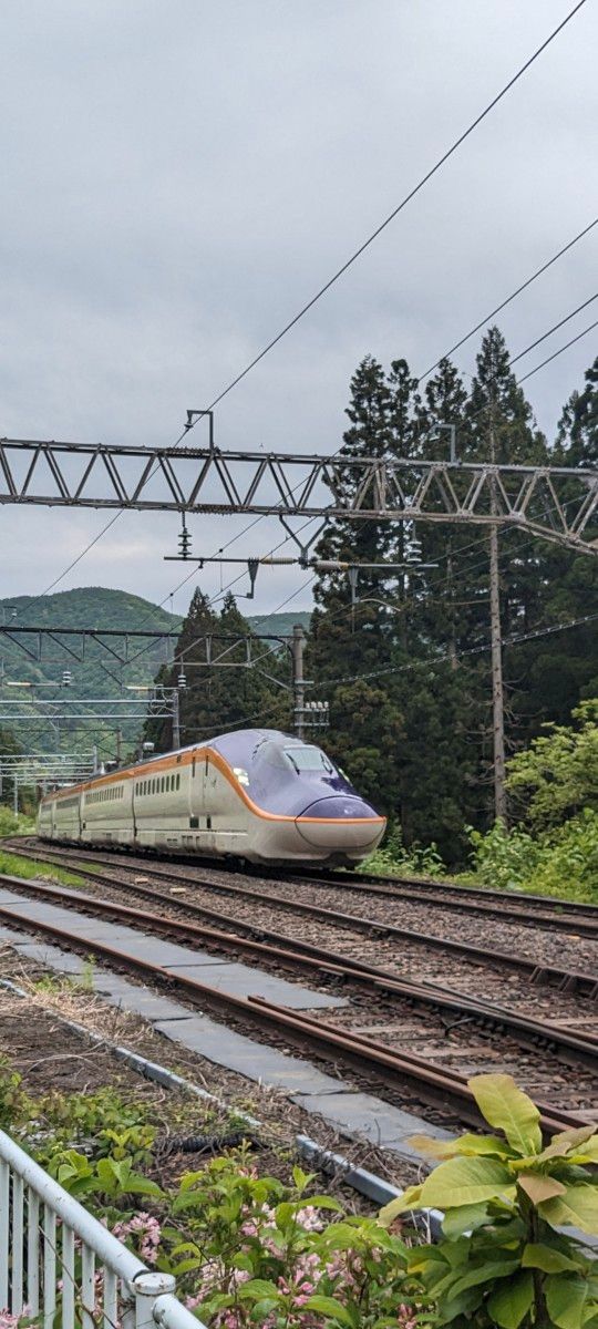 山形新幹線E3系　E8系マフラータオル