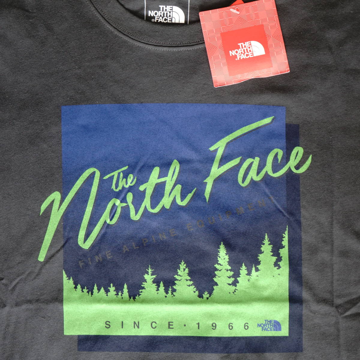 The North Face/アメリカ買付け新品/半袖Tシャツ(ダークグレー）/メンズ(サイズS)/ストリート/ 送料無料