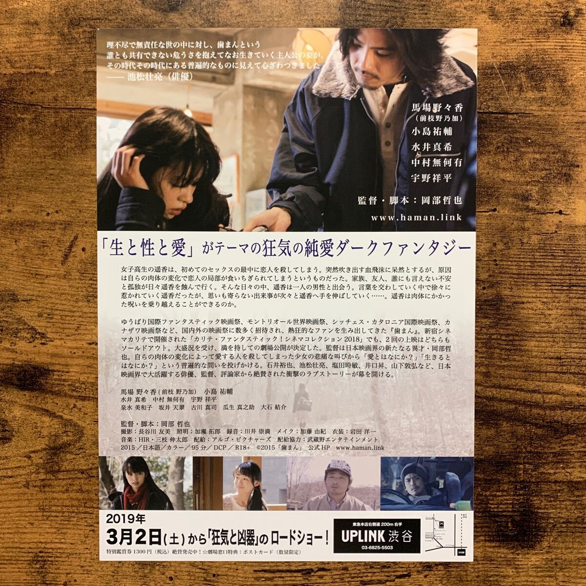 ★★映画チラシ★★『 歯まん 』2019年3月 / 監督:岡部哲也 / 馬場野々香　小島祐輔　水井真希　中村無何有　宇野祥平 /邦画【N1663/は】_画像2