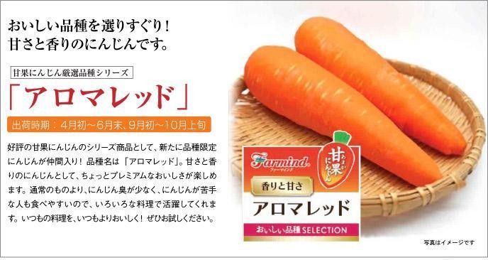 アロマレッド人参 完全無農薬栽培 コンパクト箱いっぱい！ 葉付き にんじん 野菜