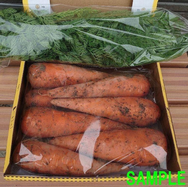アロマレッド人参 完全無農薬栽培 コンパクト箱いっぱい！ 葉付き にんじん 野菜