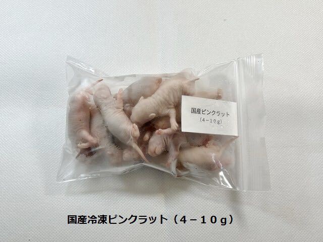 国産冷凍ピンクラット（4-10g）10匹セット_画像3