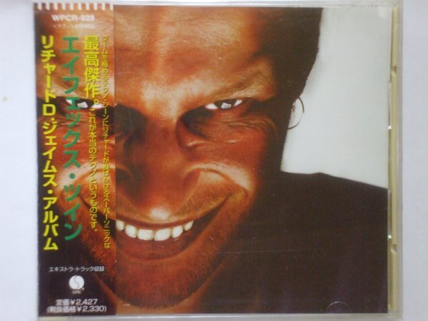 即決□Aphex Twin / Richard D. James Album□帯付き・AFX□2,500円以上の落札で送料無料!!の画像1