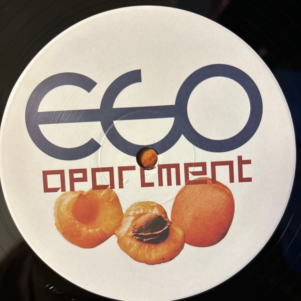 ego apartment レコード LP エゴ・アパートメント エゴアパ vinyl アナログ