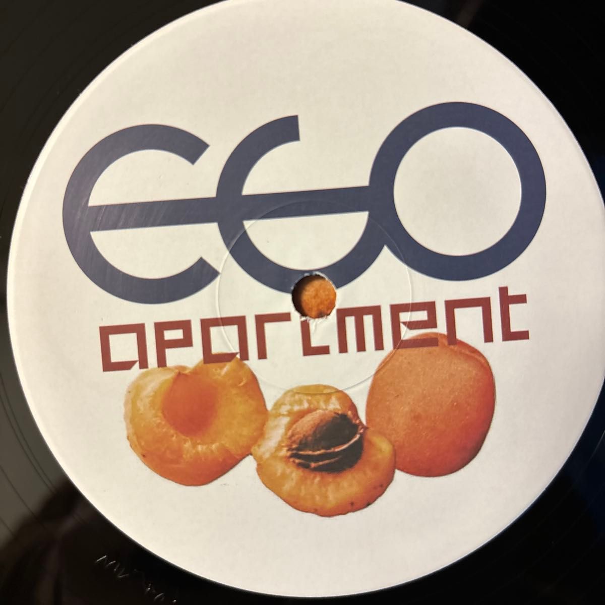ego apartment レコード LP エゴ・アパートメント エゴアパ vinyl アナログ