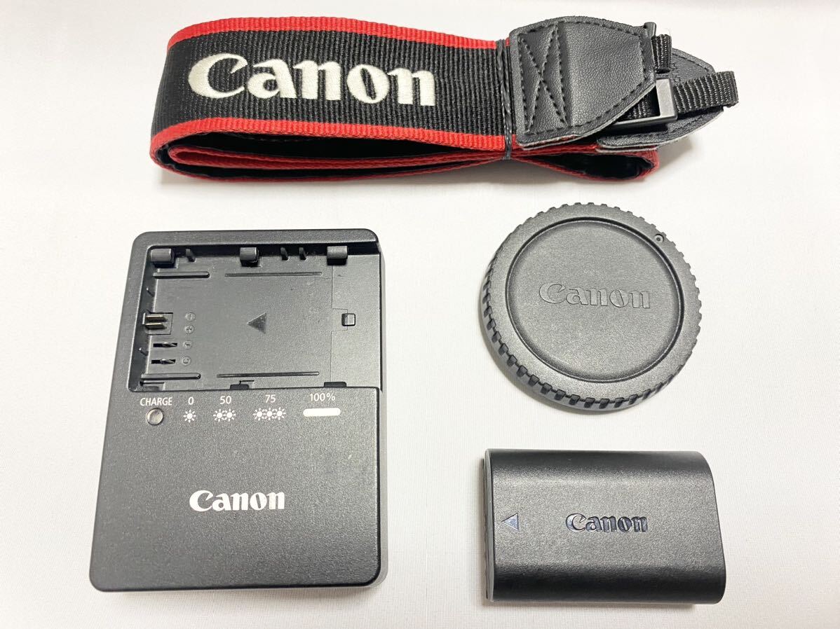 キヤノン Canon EOS 6Dボディ一眼レフカメラの画像8