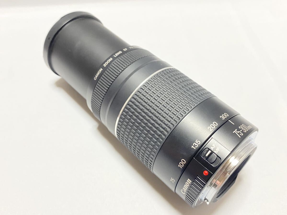 ★☆★ Canon EF 75-300mm F4-5.6 Ⅲ Lens キヤノン レンズ 完動 ◆レンズフィルター付き！_画像6