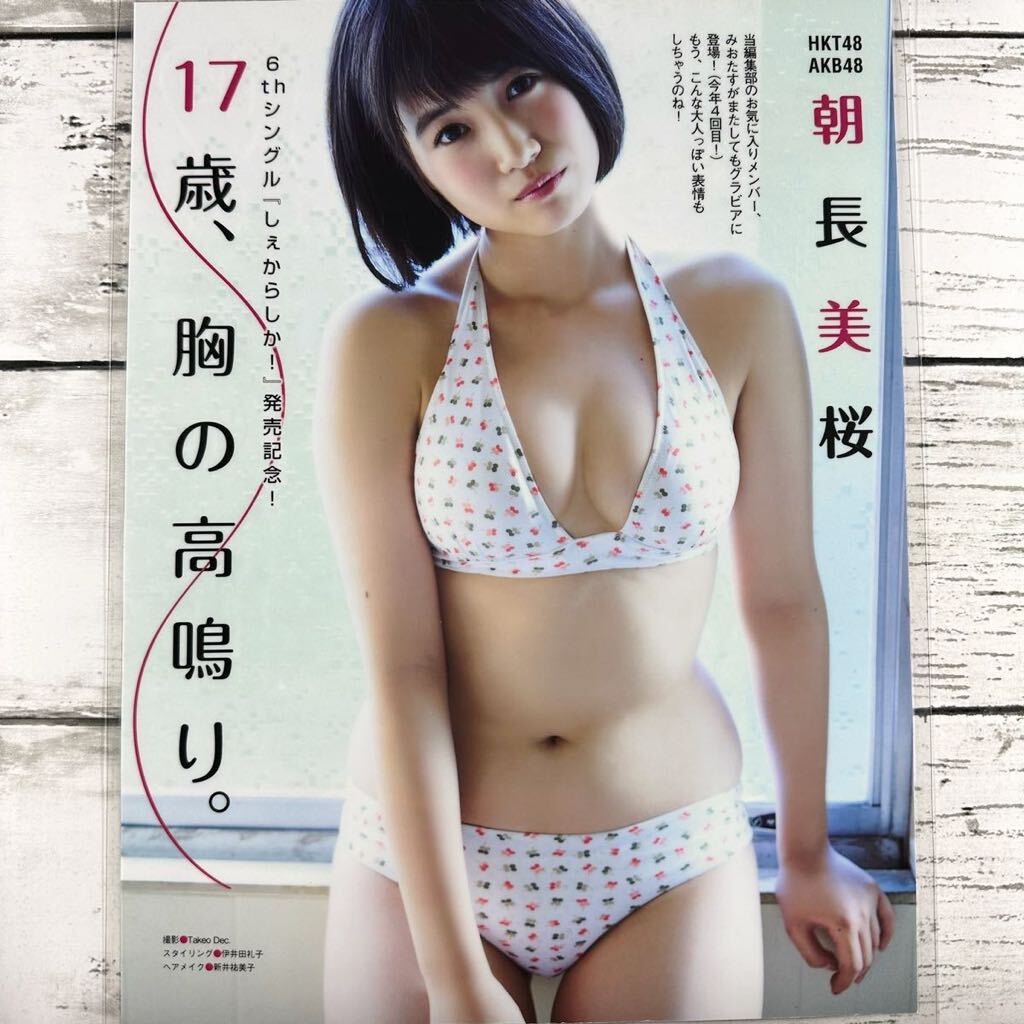 [ high quality laminate processing ][ morning . beautiful Sakura HKT48 ] EX large .2015 year 12 month number magazine scraps 5P A4 film swimsuit bikini model performer woman super 