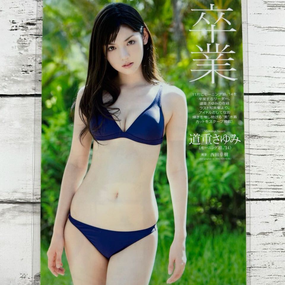 [ high quality laminate processing ][ road weight ..] Play Boy 2014 year 43 magazine scraps 5P B5 film swimsuit bikini model performer woman super 