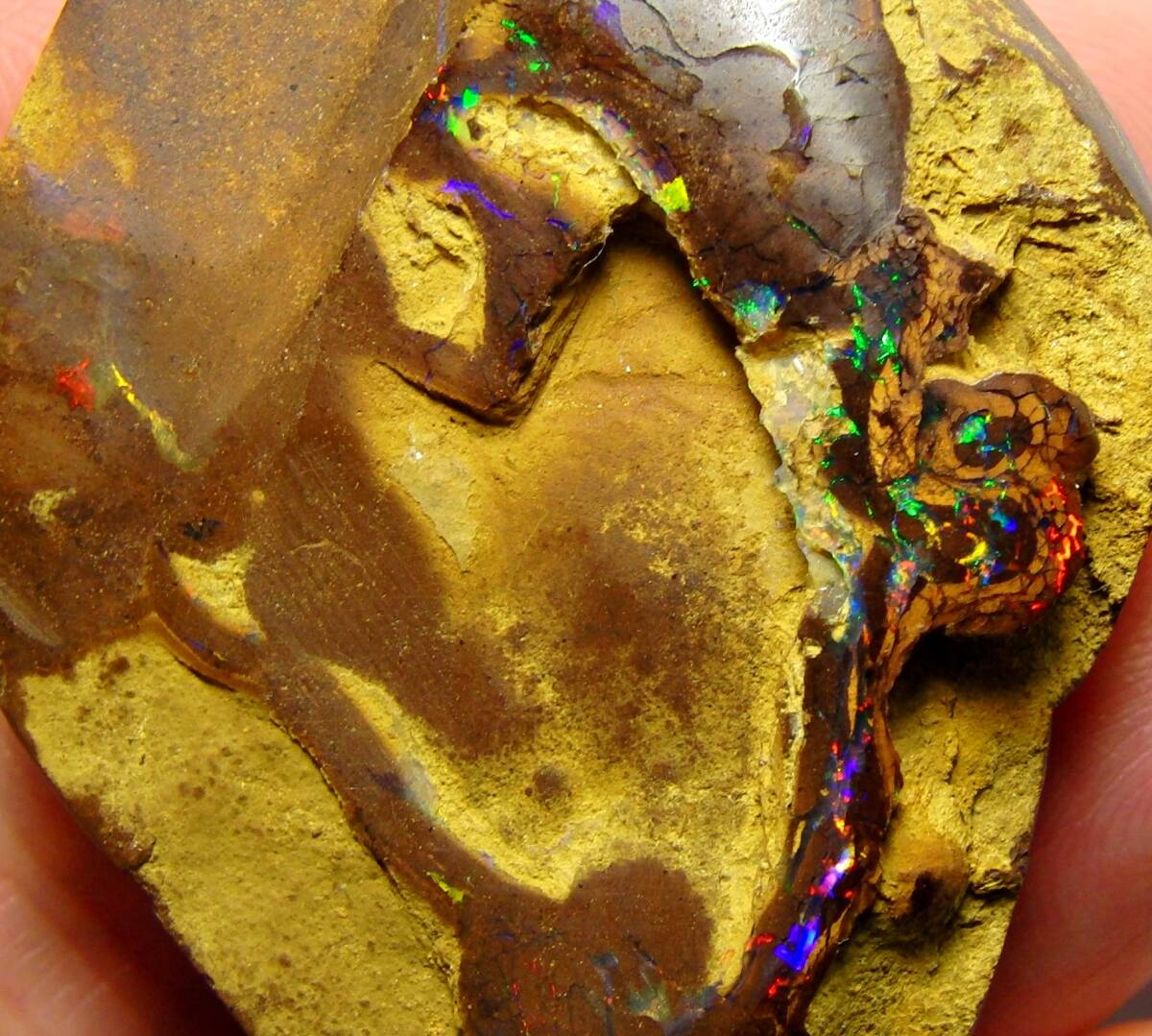 AA!! ultimate beautiful mineral specimen 123.55 cts natural koroitoboruda- opal multicolor 