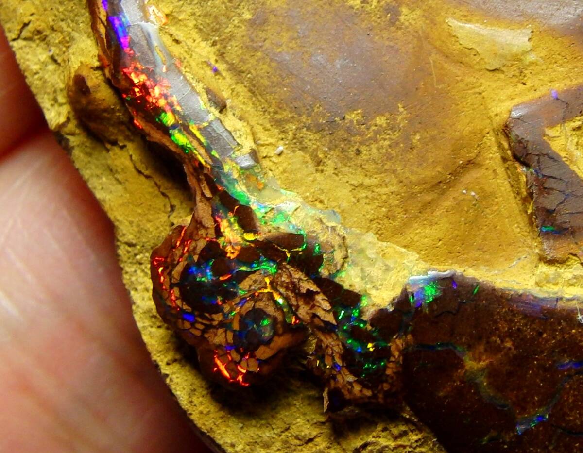 AA!! ultimate beautiful mineral specimen 123.55 cts natural koroitoboruda- opal multicolor 