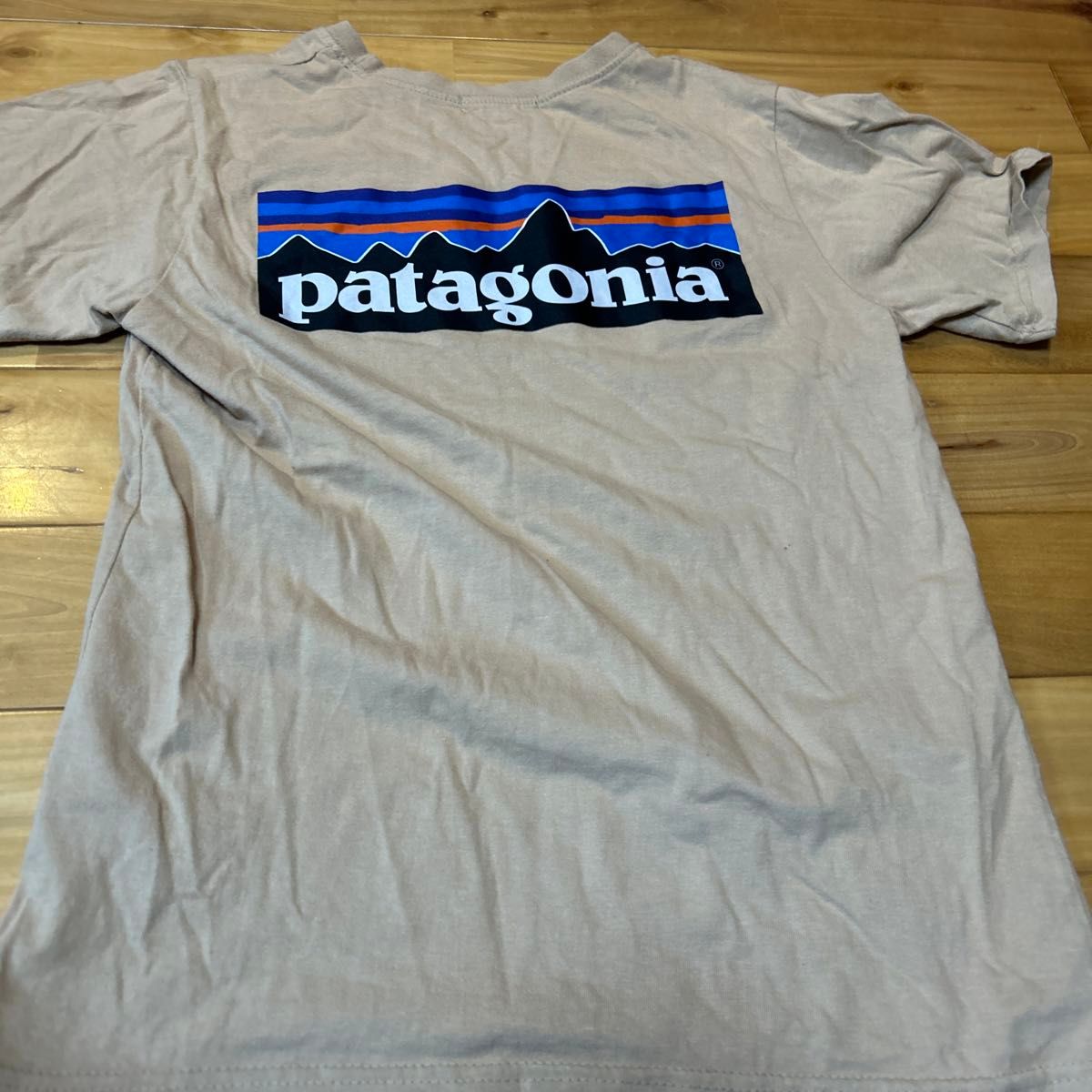 パタゴニア TシャツMサイズ