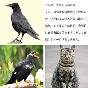 防鳥ネット ベランダ鳥よけネット 幅4m×長さ10m カラス 鳩対策防鳥網 果樹守りや野菜栽培や防獣ネット 猫侵入脱走防止 透明色_画像5