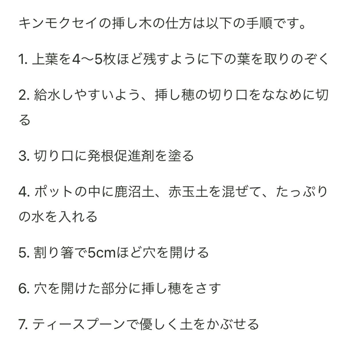 【金木犀】【キンモクセイ】挿木用のさし穂20本！挿木に適した若枝のみ→メネデール＋ルートン（発根促進剤）→すぐ発送します